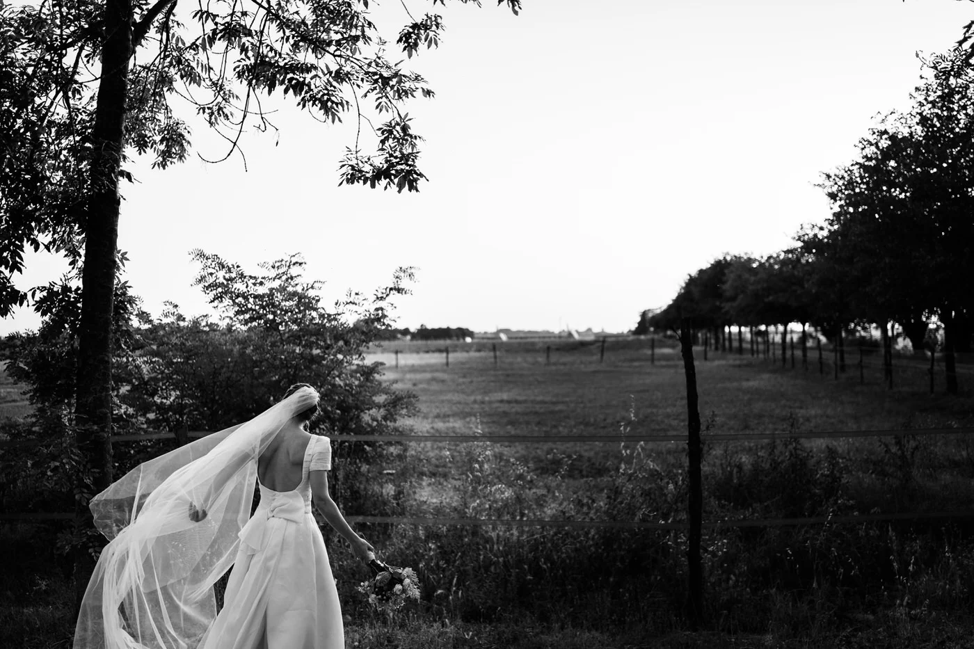 Bride with her veil in the wind in a meadow among the trees, black and white photo