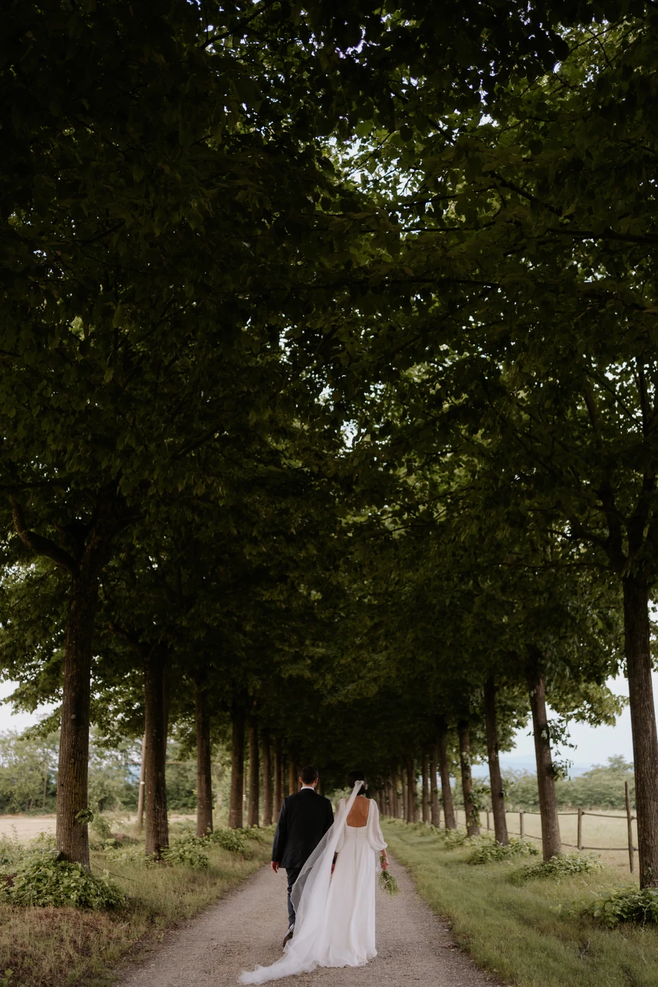 Bride and groom from behind along a tree lined avenue at La Federica, wedding in Piedmont