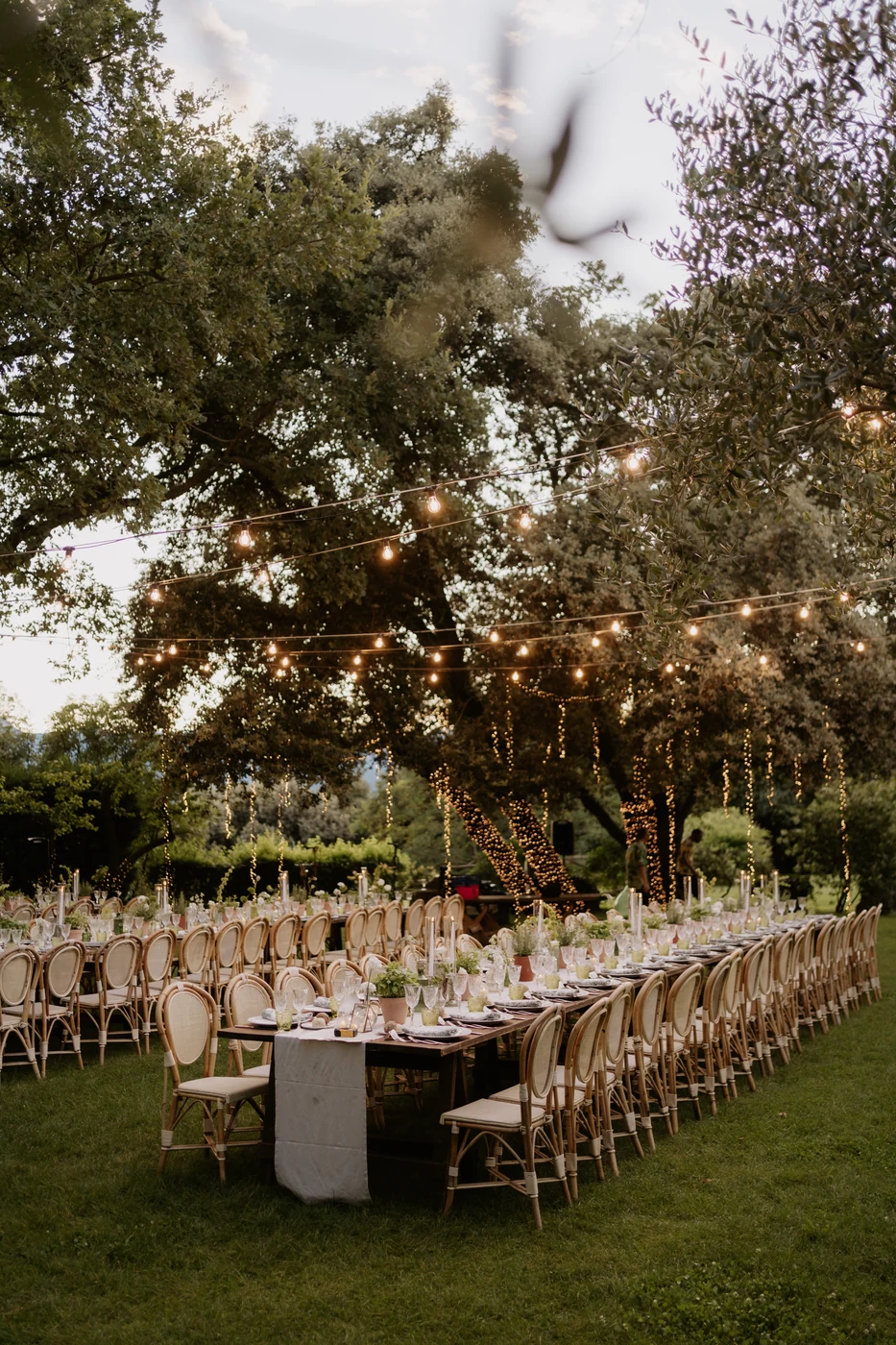 Long table on the lawn at La Ginestra among the trees and lights