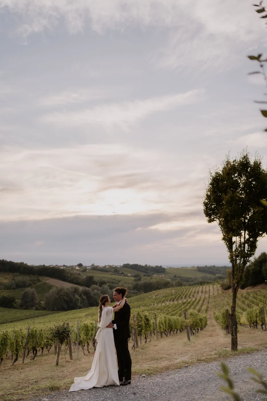 The couple among the vineyards at sunset