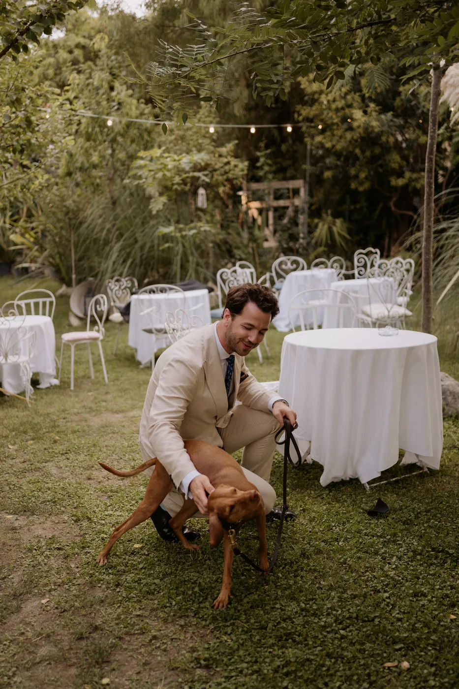 A guest petting a dog among the set tables in the garden