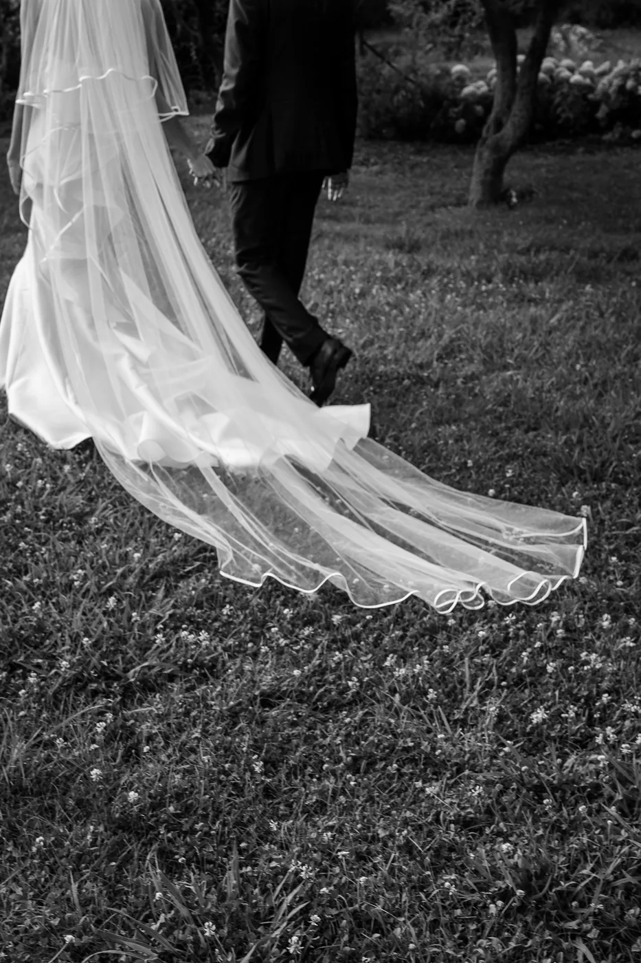 The bride's long veil on the garden grass, in black and white